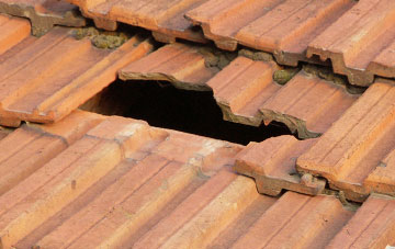roof repair Bran End, Essex